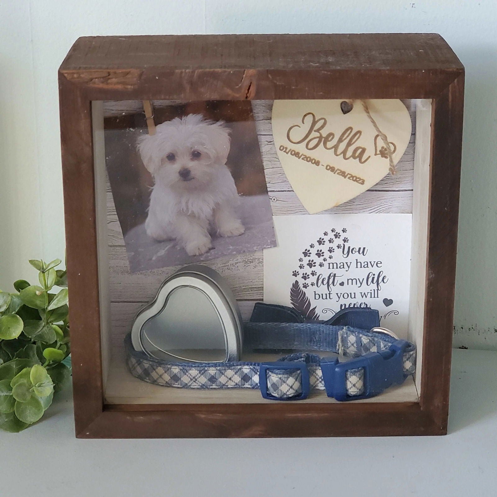 Pet Memorial Shadowbox, Pet Memorial Frame, Pet Memory Box, Dog Collar Memorial - Wags and Willows 