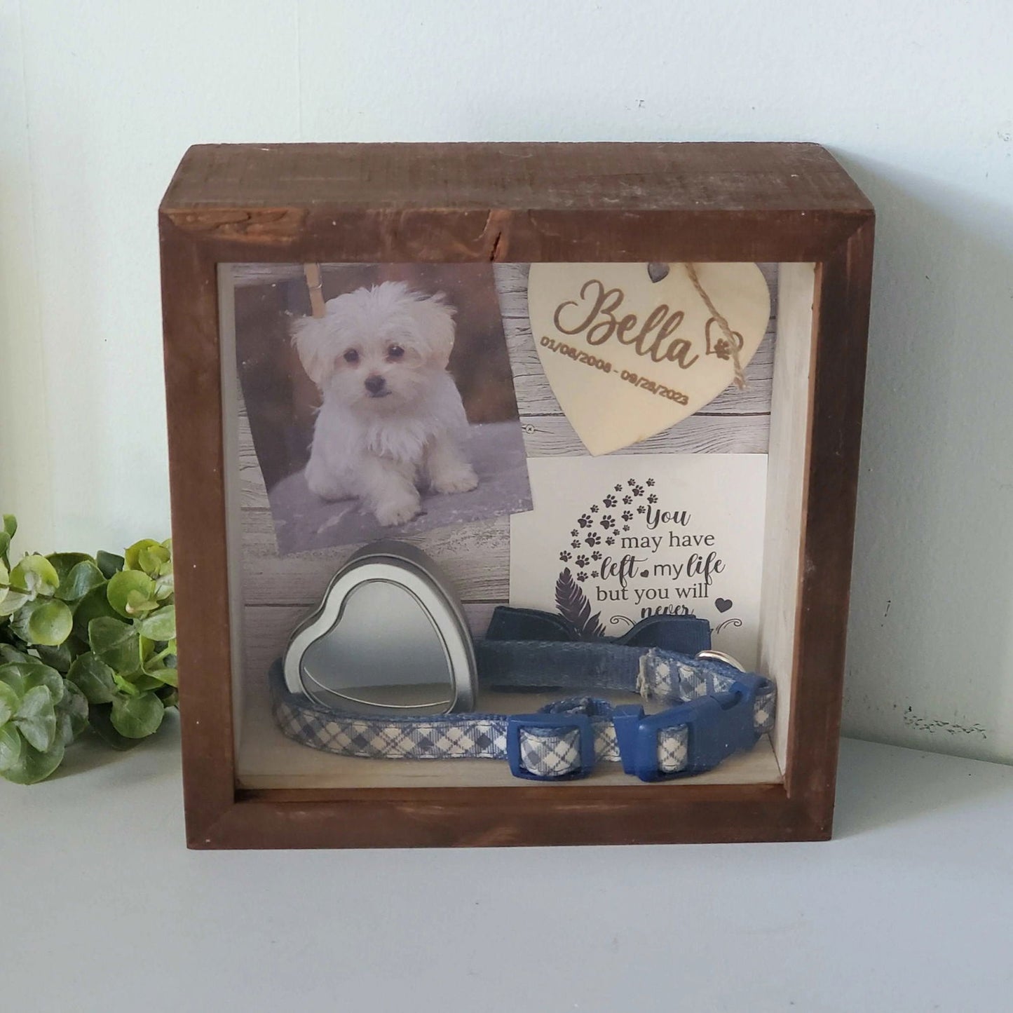 Pet Memorial Shadowbox, Pet Memorial Frame, Pet Memory Box, Dog Collar Memorial - Wags and Willows 