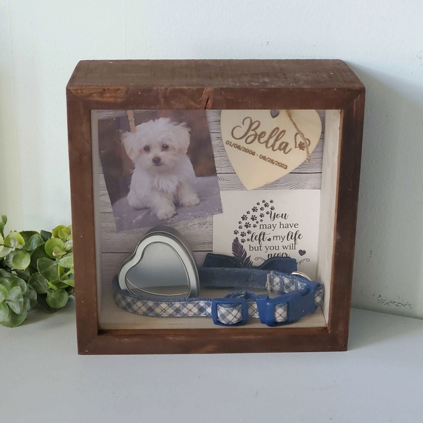 Pet Memorial Shadowbox, Pet Memorial Frame, Pet Memory Box, Dog Collar Memorial - Wags and Willows 