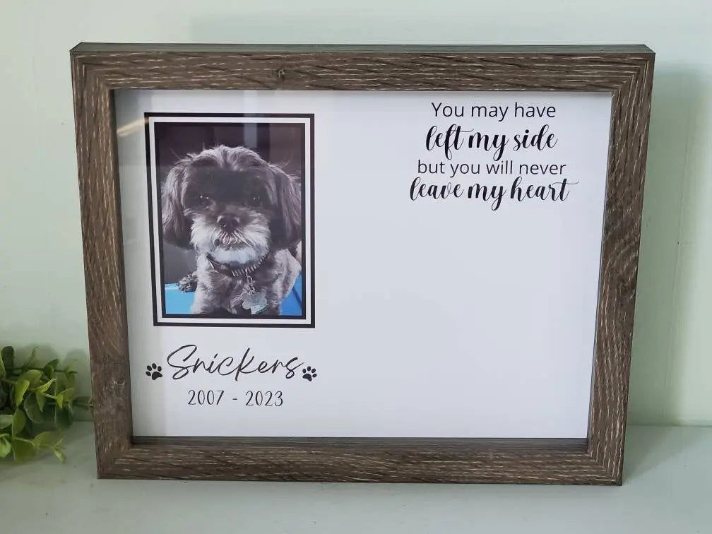 Pet Memorial Shadowbox, Pet Memorial Frame, Pet Memory Box, Dog Memorial ShadowboxPaw Print Holder - Wags and Willows 