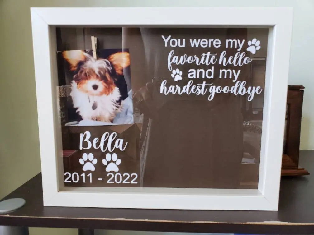 Pet Memorial Shadowbox, Pet Memory Box, Dog Collar Memorial, Pet Memorial Frame - Wags and Willows 