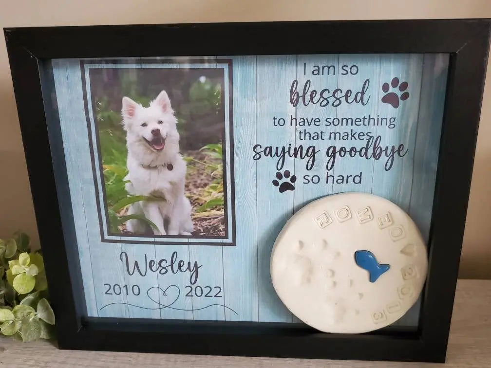 Pet Memorial Shadowbox for pawprint - Wags and Willows 