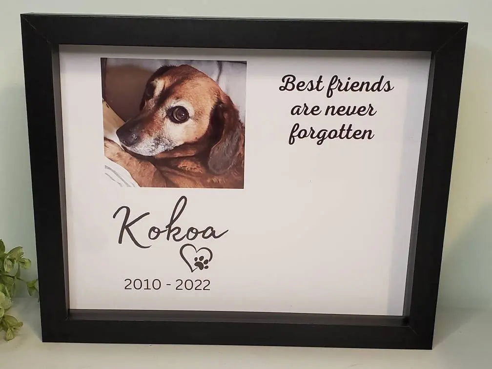 Pet Memorial frame - Wags and Willows 