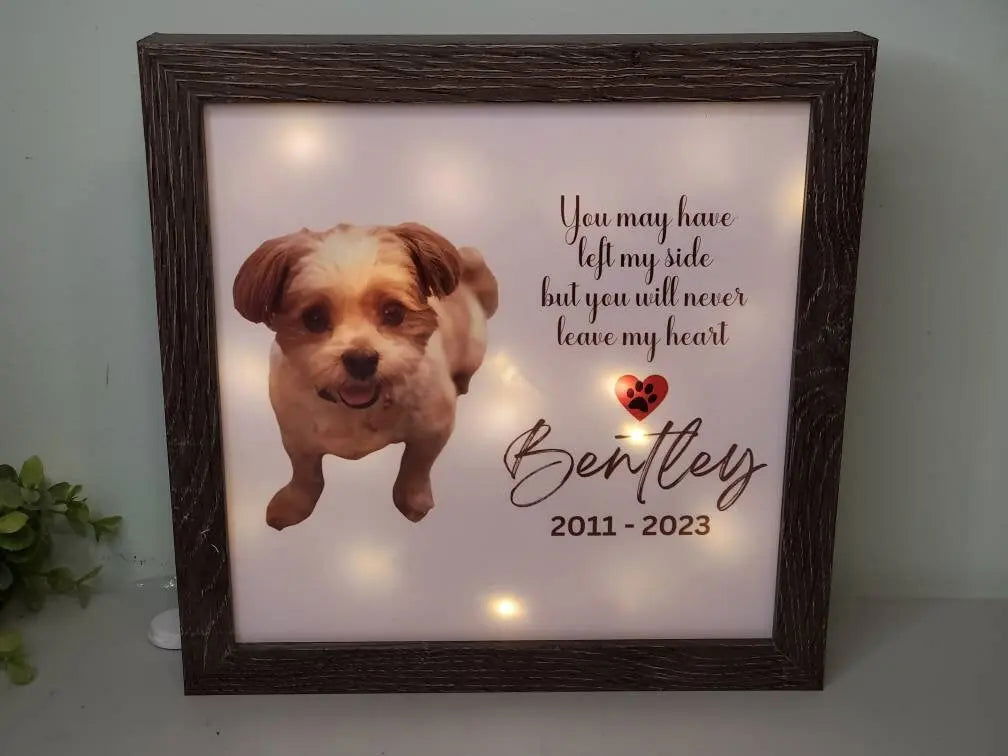 Pet Memorial gift, lighted Pet portrait memorial sketch,Dog Memorial , Cat Memorial, Loss of Pet Gift, Pet Sympathy Gift - Wags and Willows 