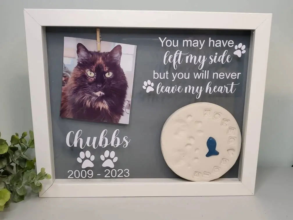 Pet Memorial shadowbox frame-Cat Memorial, Dog Memorial - Wags and Willows 