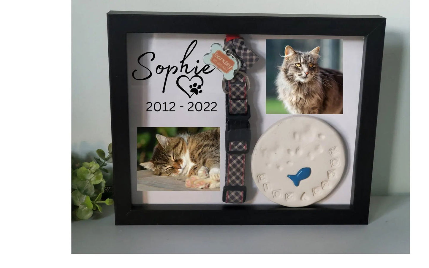 Pet Memorial shadowbox frame - Wags and Willows 