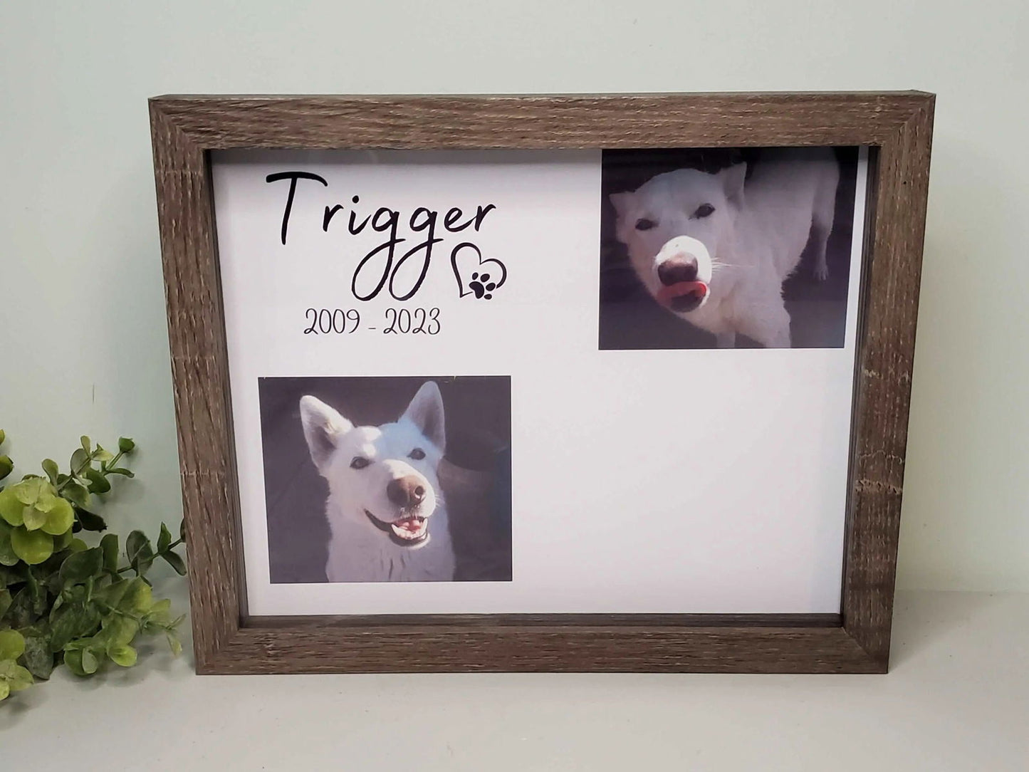 Pet Memorial shadowbox frame - Wags and Willows 