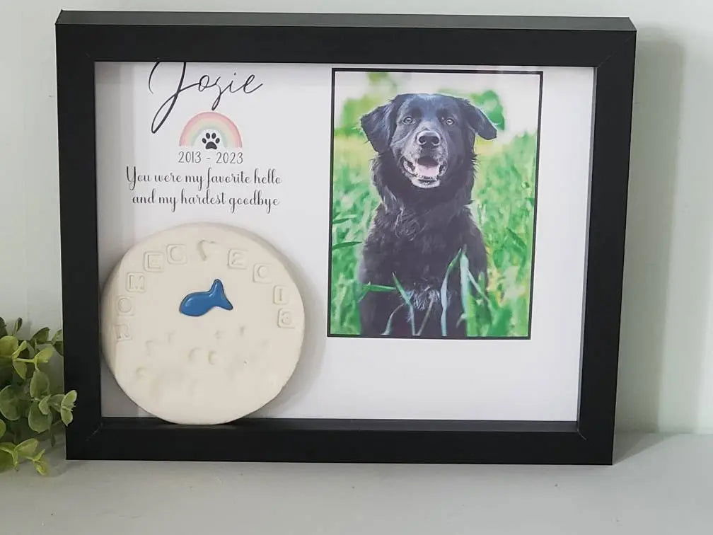 Pet Memorial shadowbox paw print holder - Wags and Willows 