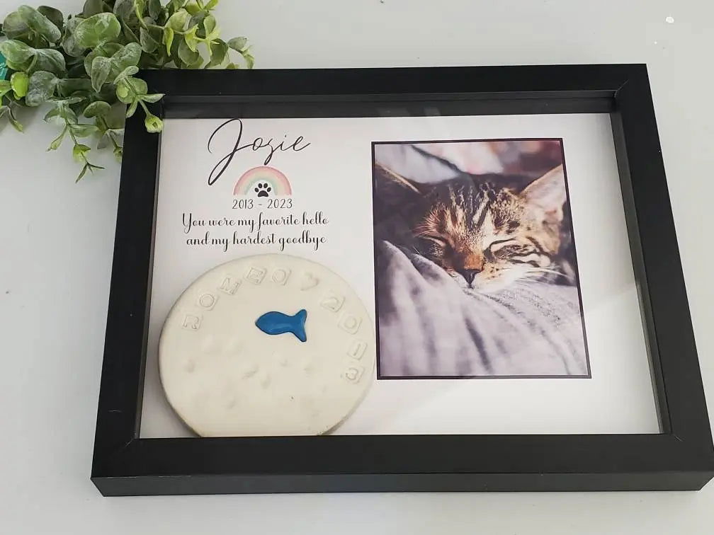 Pet Memorial shadowbox paw print holder - Wags and Willows 