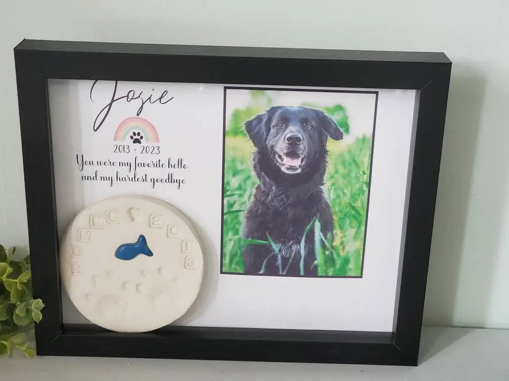 Pet Memorial shadowbox paw print holder - Wags and Willows 