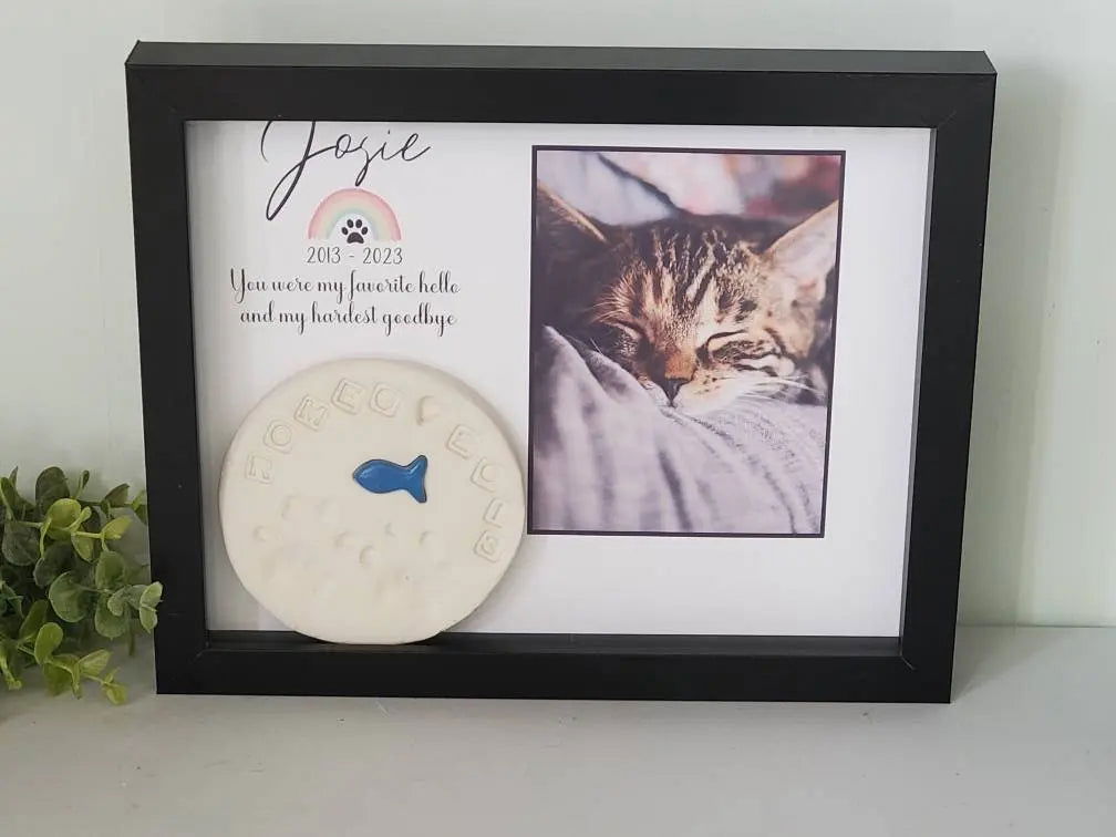 Pet Memorial shadowbox paw print holder - Wags and Willows 