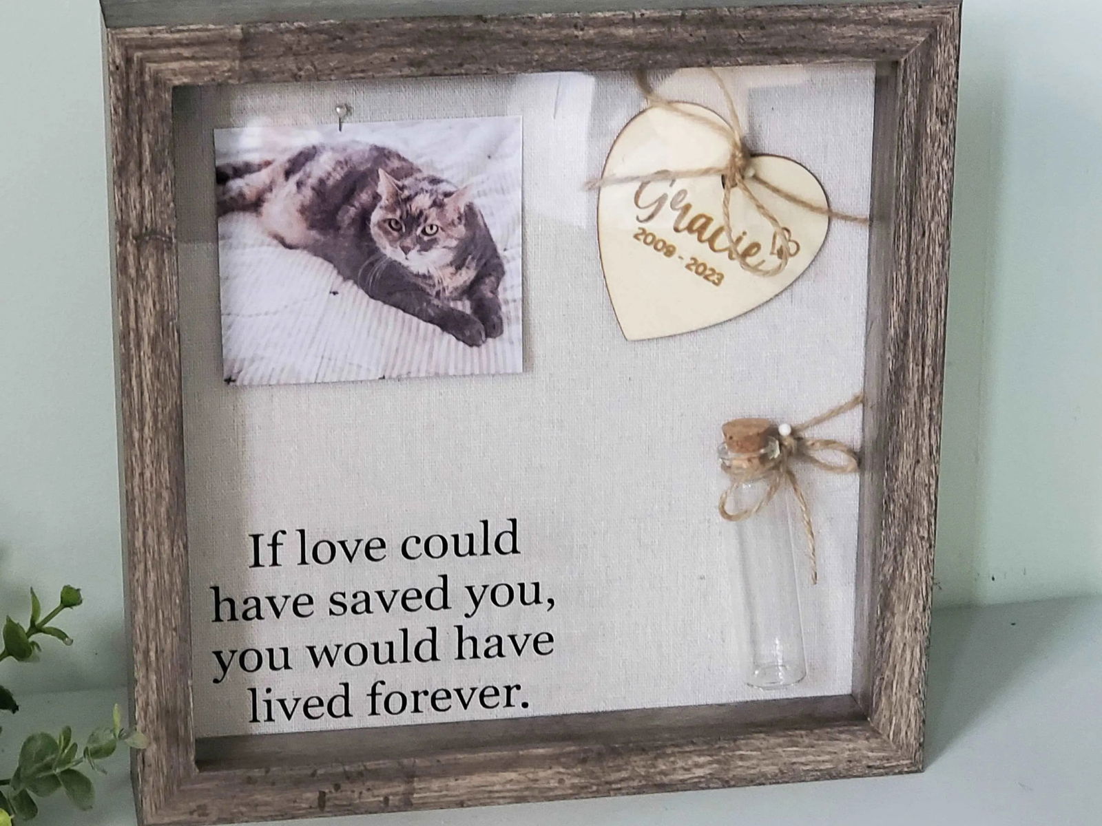 Pet Memory box, Pet Memorial Shadow Box For Dog - Wags and Willows 