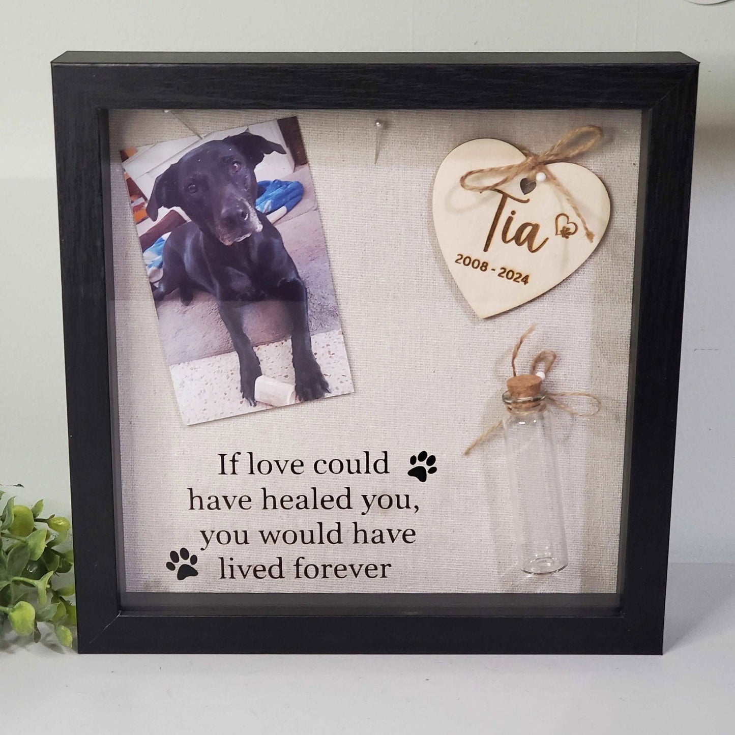 Pet Memory box, Pet Memorial Shadow Box For Dog - Wags and Willows 