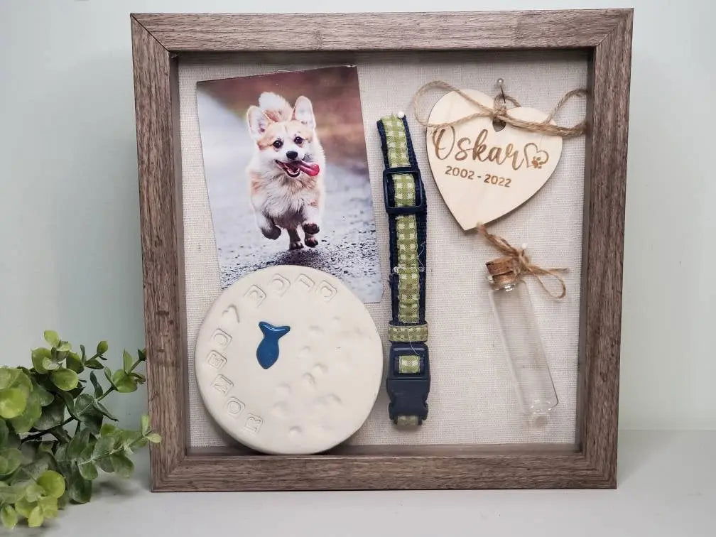 Pet Memory box, Pet Memorial Shadow Box For Dog - Wags and Willows 