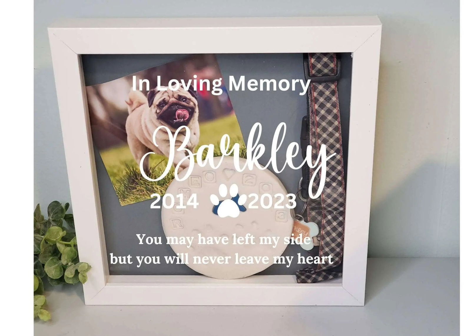 Pet Shadow Box Memorial - Wags and Willows 