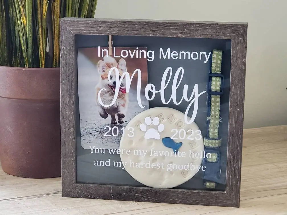 Pet Shadow Box Memorial - Wags and Willows 