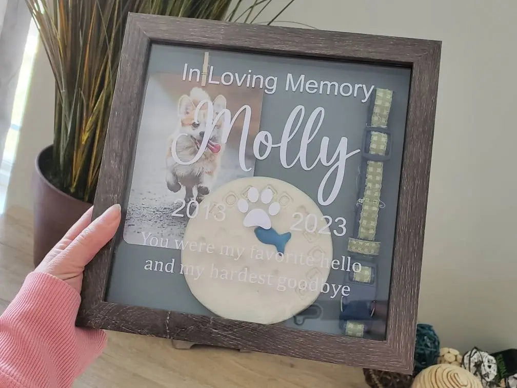 Pet Shadow Box Memorial - Wags and Willows 