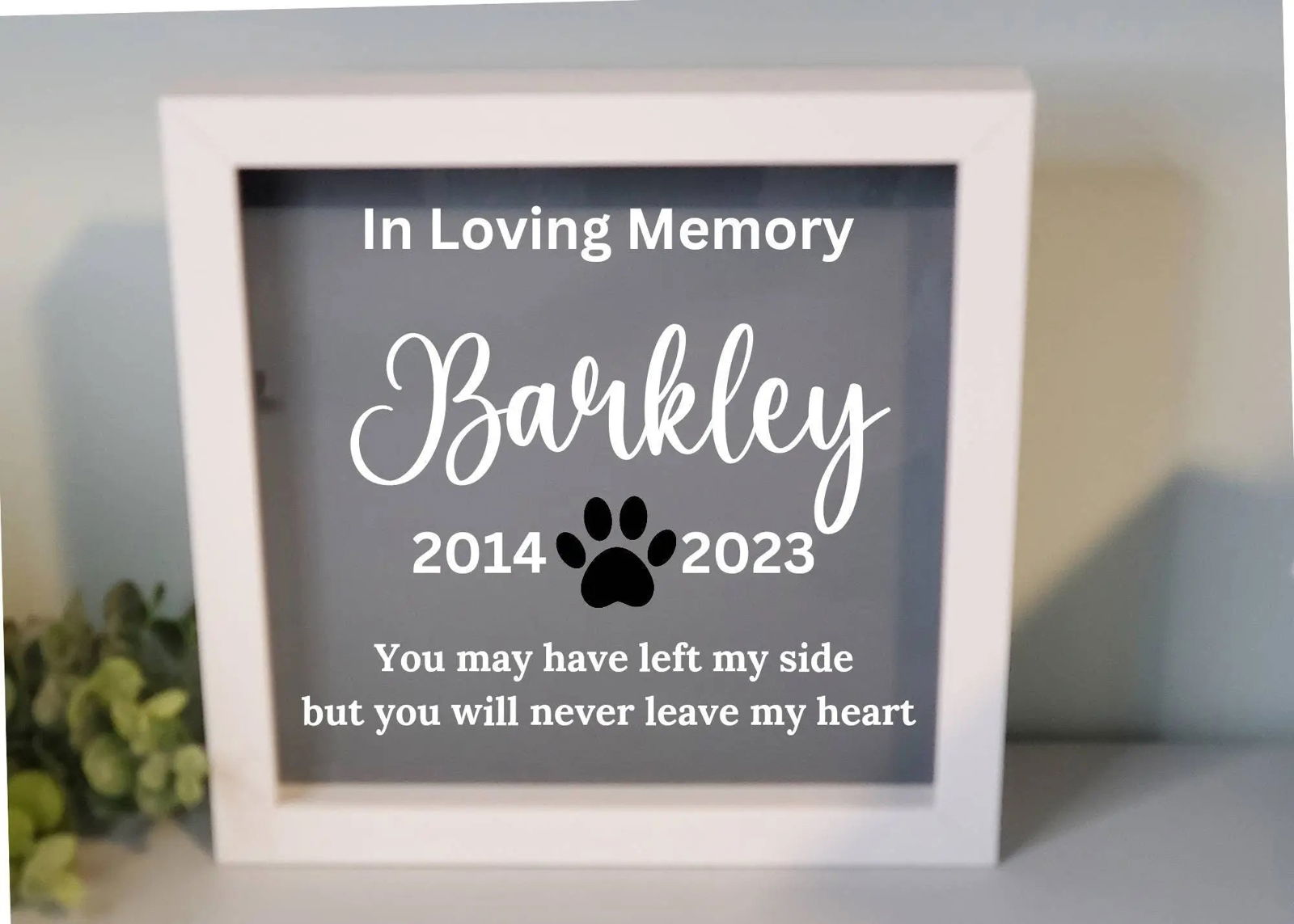 Pet Shadow Box Memorial - Wags and Willows 