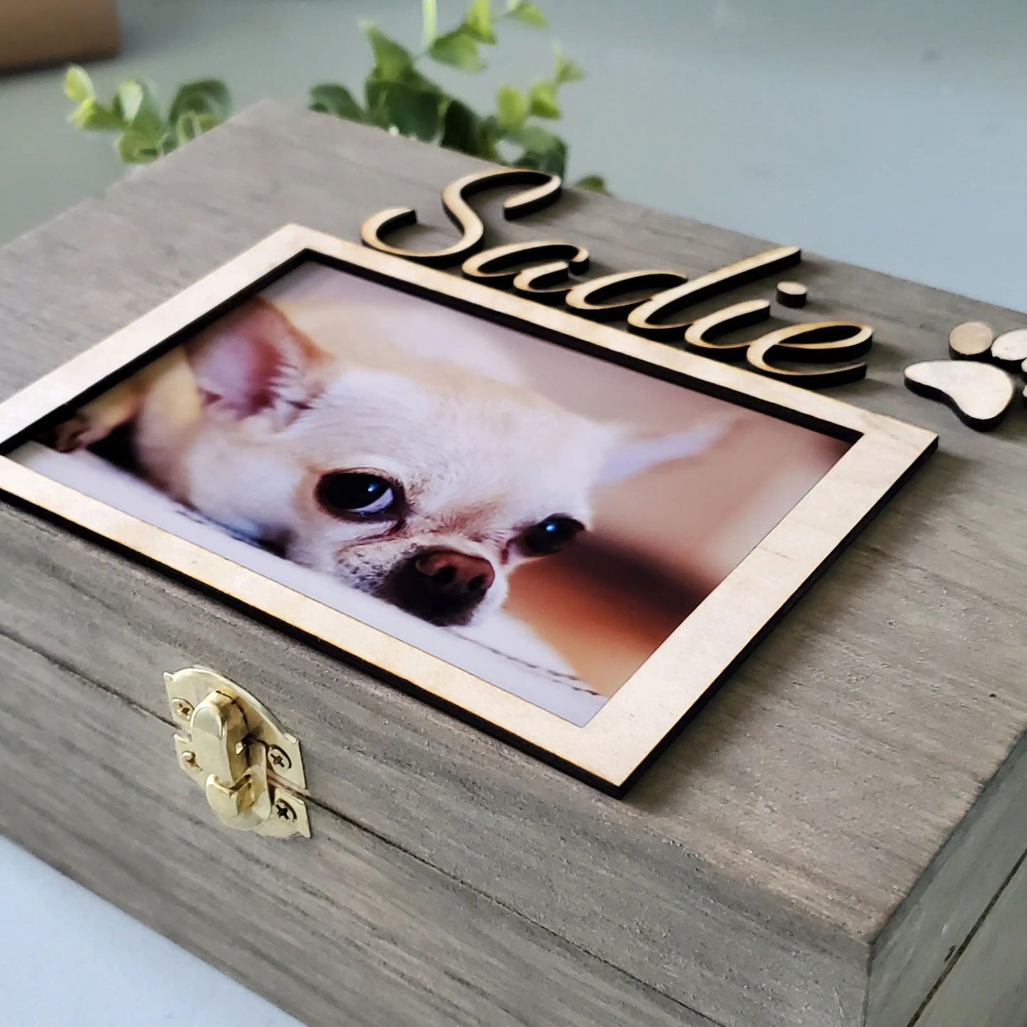 Pet Urn, Urn for dogs, pet urn for cats, Pet Memorial Box, wood pet urn with photo, Large Dog Urn, Memory Box for pet - Wags and Willows 