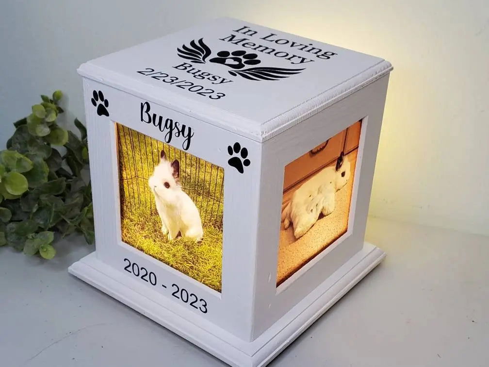 Pet Urn for Rabbit, Rabbit Memorial - Wags and Willows 