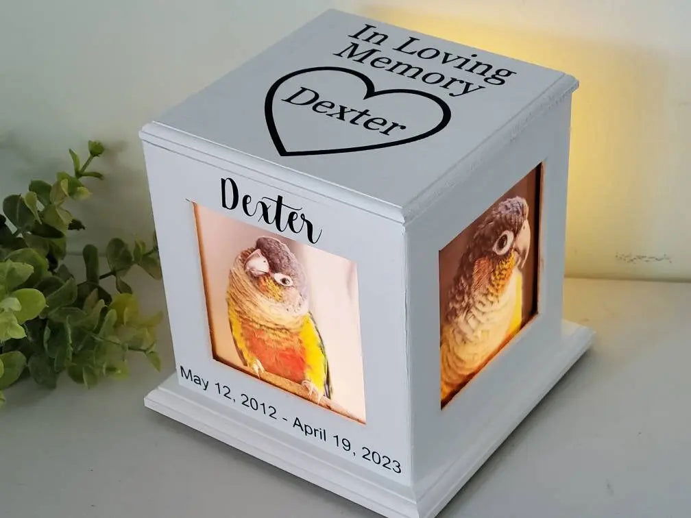 Pet Urn for birds, urn for birds, urn for small animals - Wags and Willows 