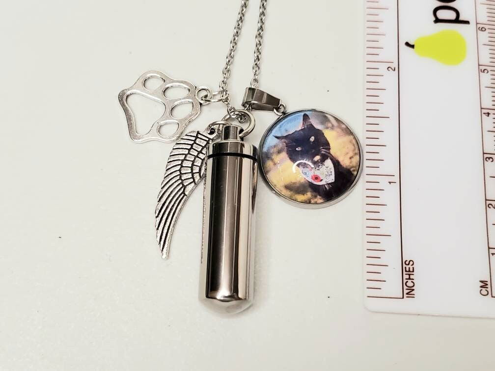Pet Dog Cat Cremation Urn Necklace – Stainless Steel Memorial Keepsake, Black, 22" Chain