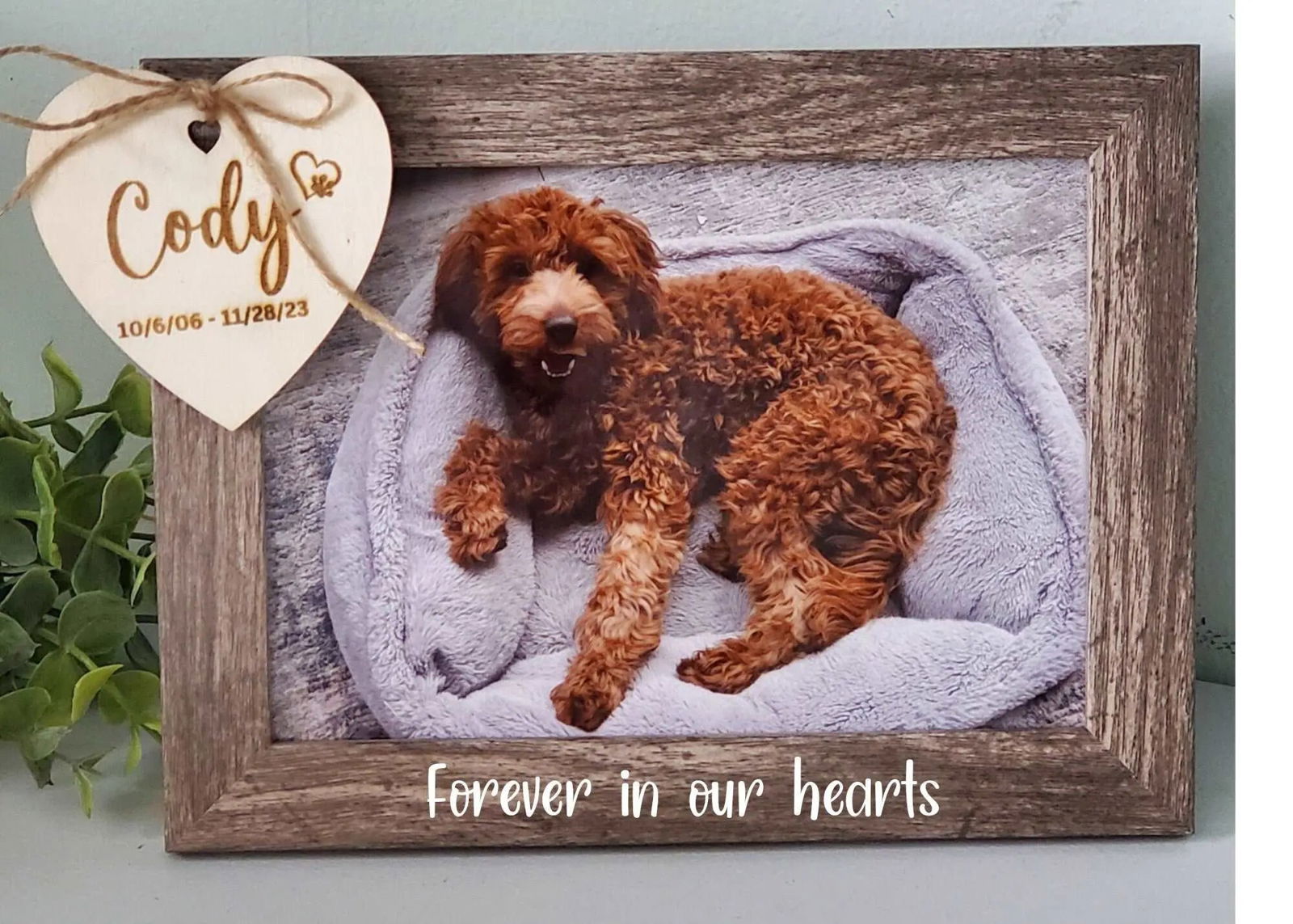 Pet memorial frame, pet memorial gift, - Wags and Willows 