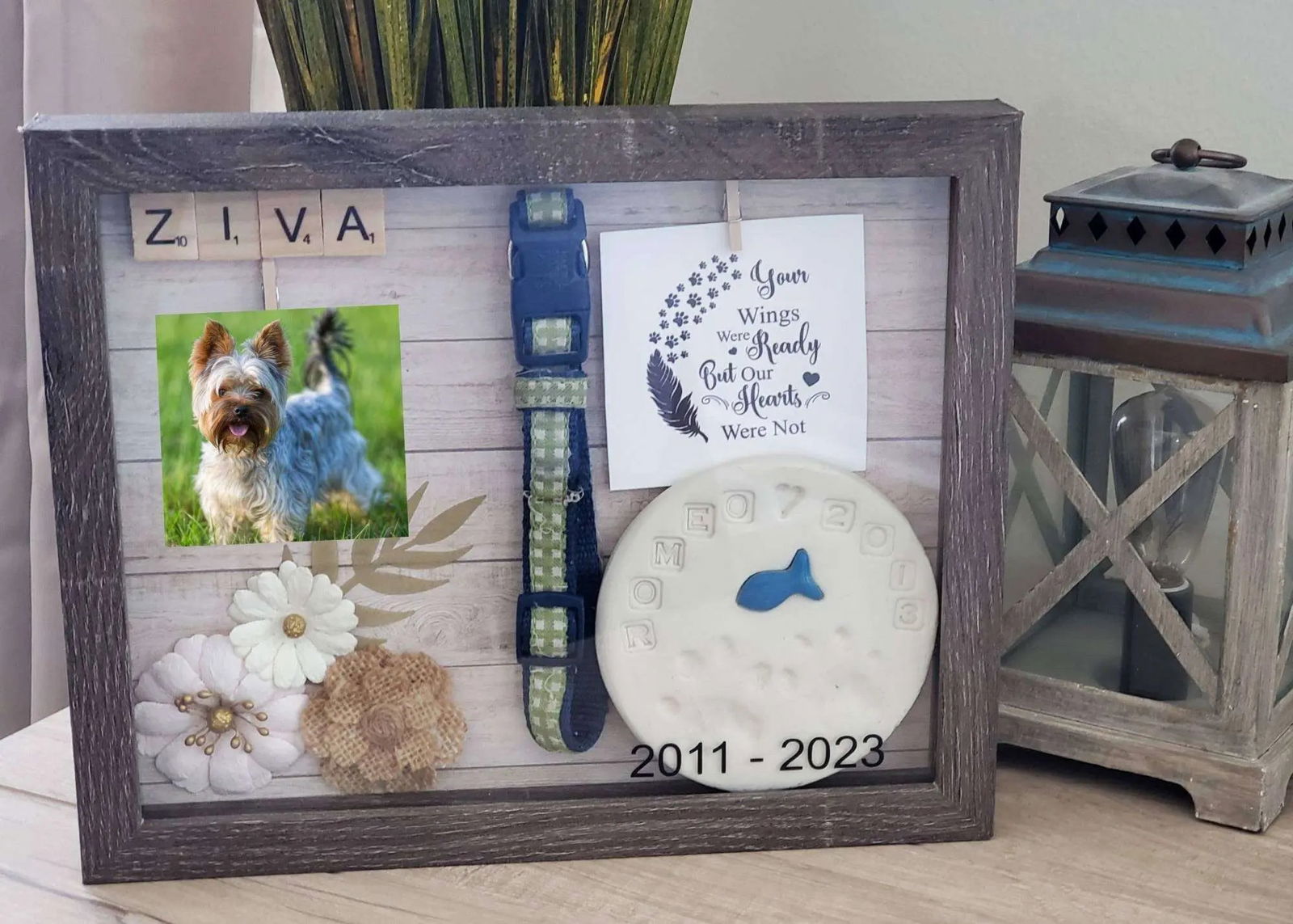 Pet memorial shadow box, Pet memory box, pet memorial frame - Wags and Willows 