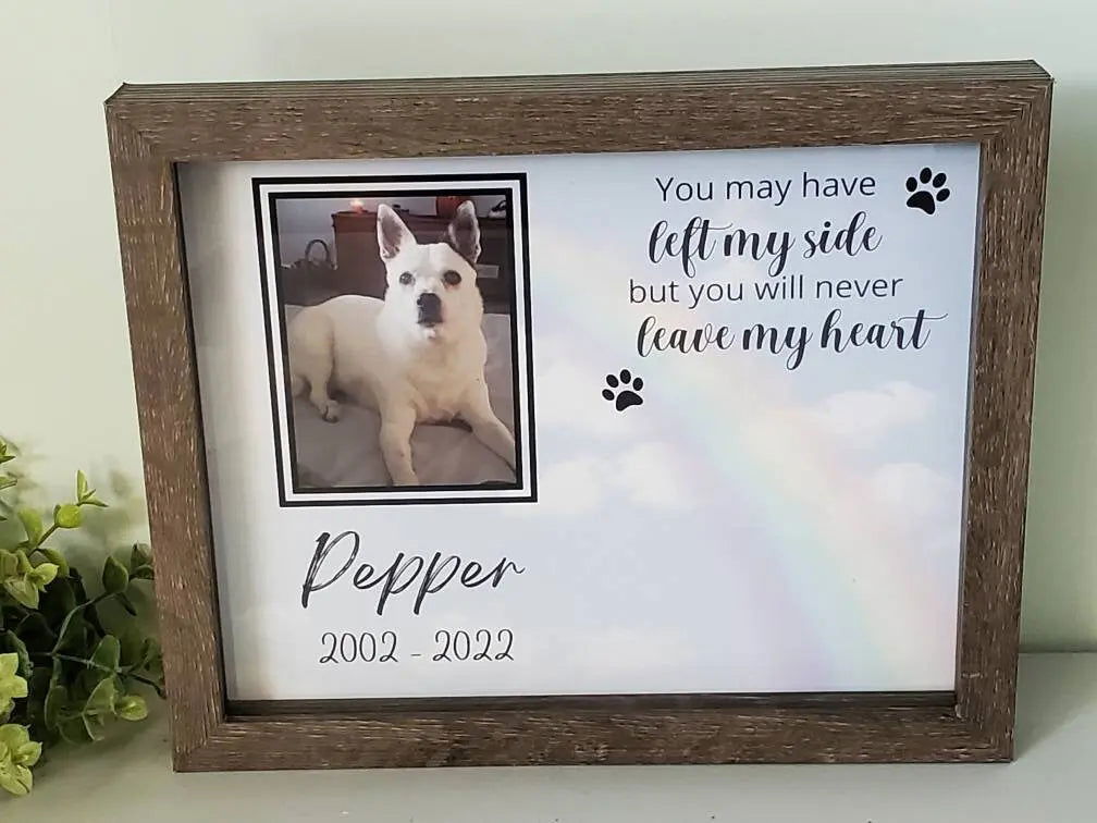 Picture frame Pet Memorial - Wags and Willows 