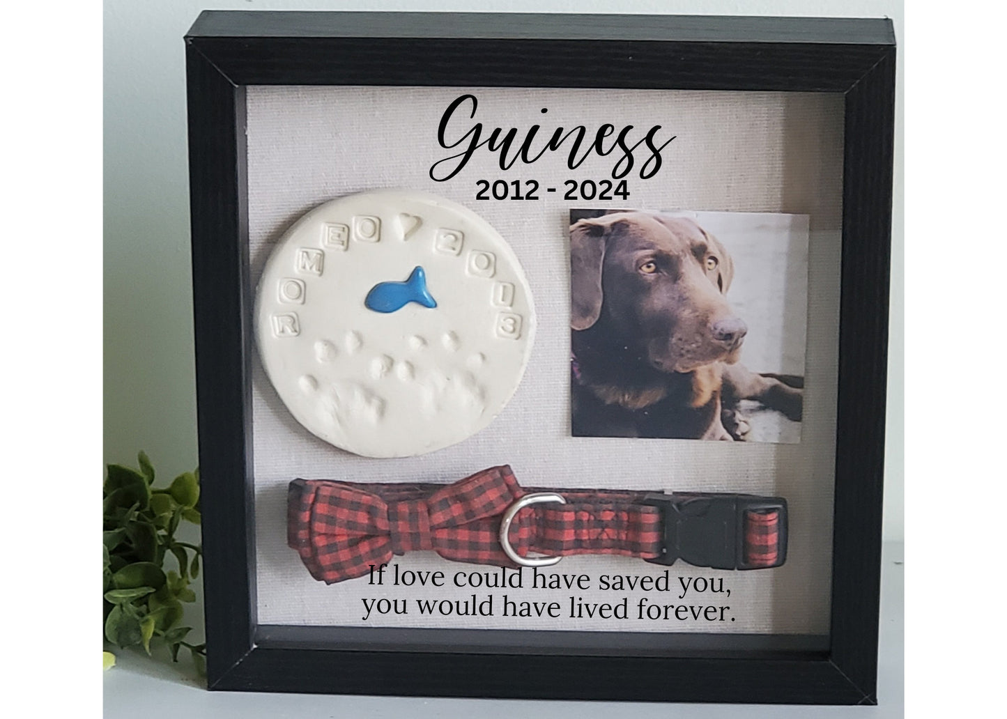 Pet Memorial Shadowbox for pawprint, Pet memorial gift, Dog shadow box , Cat Memorial, pet memory box, paw print holder