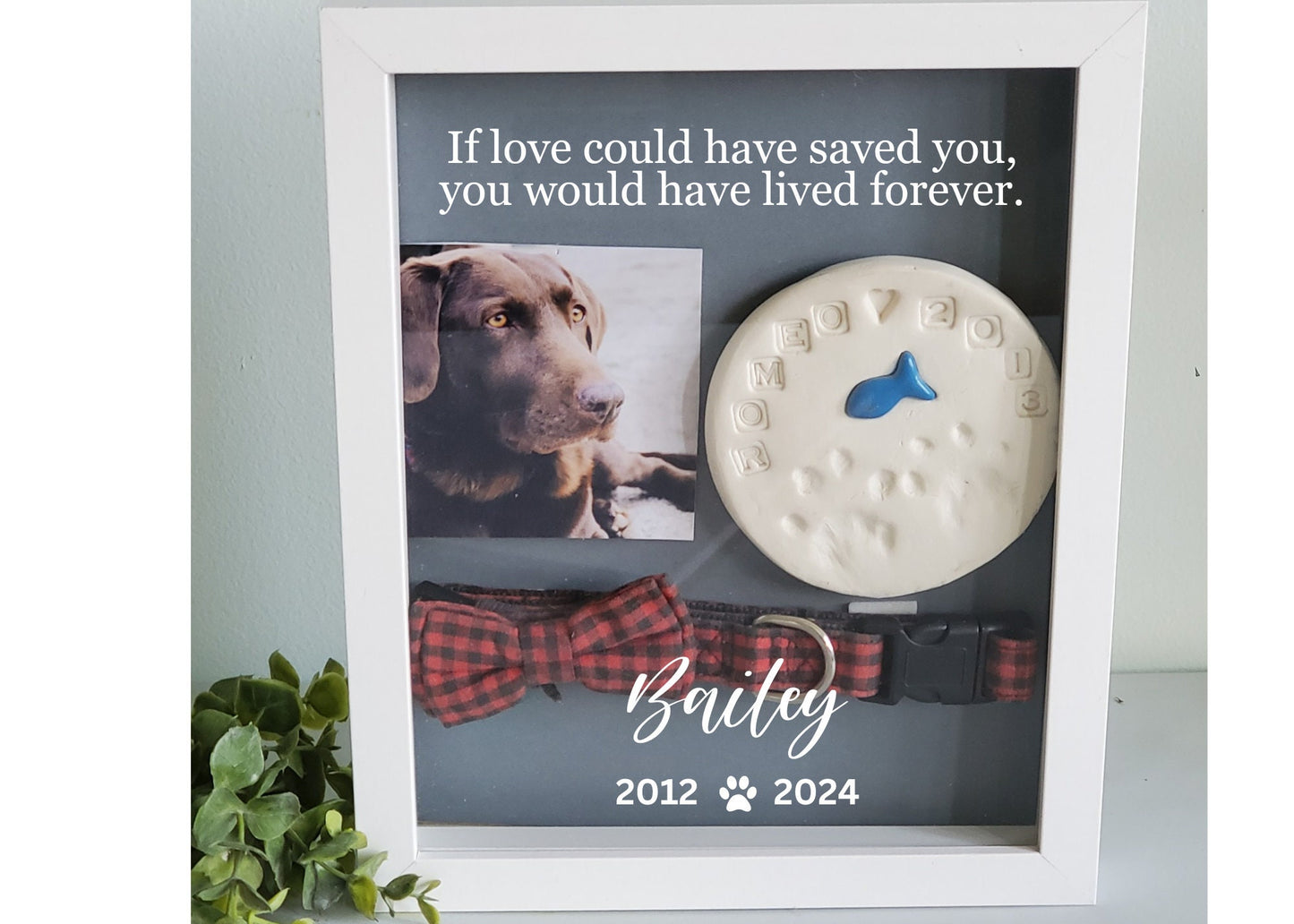 Pet Memorial Shadowbox, Dog Memorial , Cat Memorial frame, Loss of Pet Gift, Personalized Pet Memorial Shadowbox, Pet Sympathy Gift